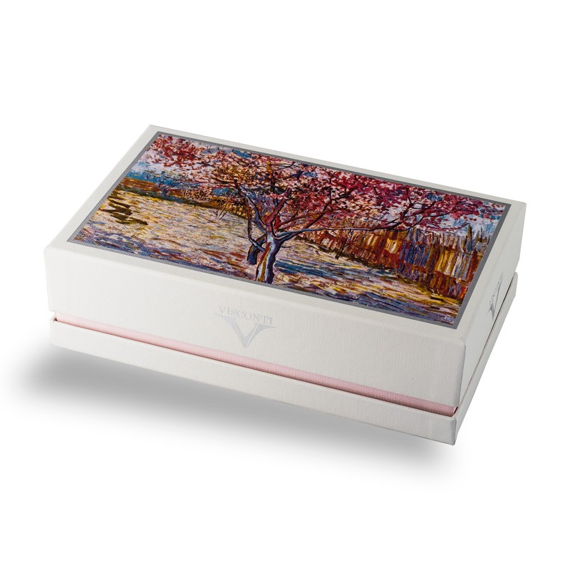 Penna stilografica Visconti Van Gogh Souvenire De Mauve Lema San Miniato confezione regalo