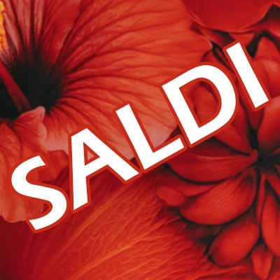 Saldi Estivi 2025