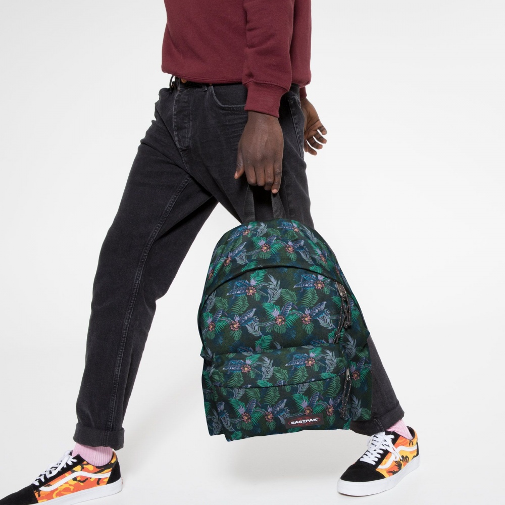 EK62001Y-zaino-eastpak-padded-green-trippy-jungle-lema-san-miniato-cartoleria-toscana