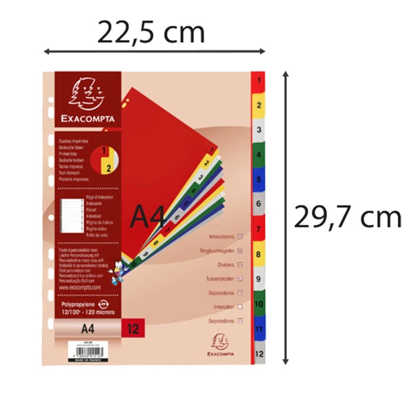 Divisori Numerici - 1-12 - PPL opaco - A4 - colori assortiti - Exacompta