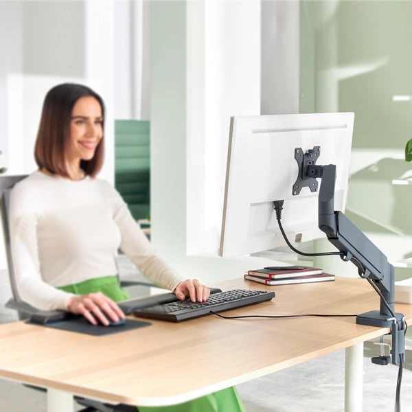 Braccio salvaspazio - per 1 monitor - grigio scuro - Leitz Ergo