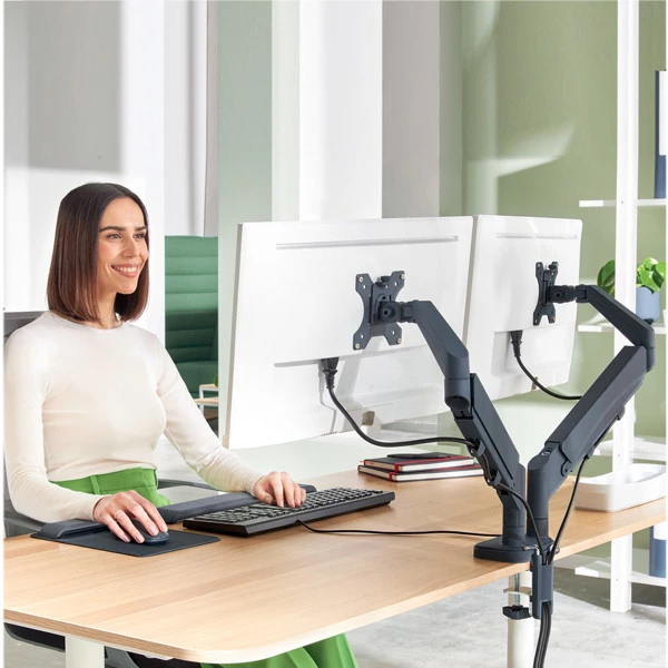 Braccio salvaspazio - per 2 monitor - grigio scuro - Leitz Ergo