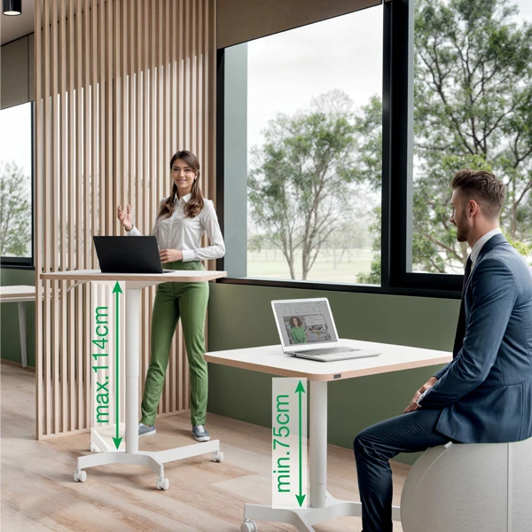 Scrivania Compatta pneumatica Sit-Stand - mobile - 80 x 60 x 75 cm - bianco - Leitz