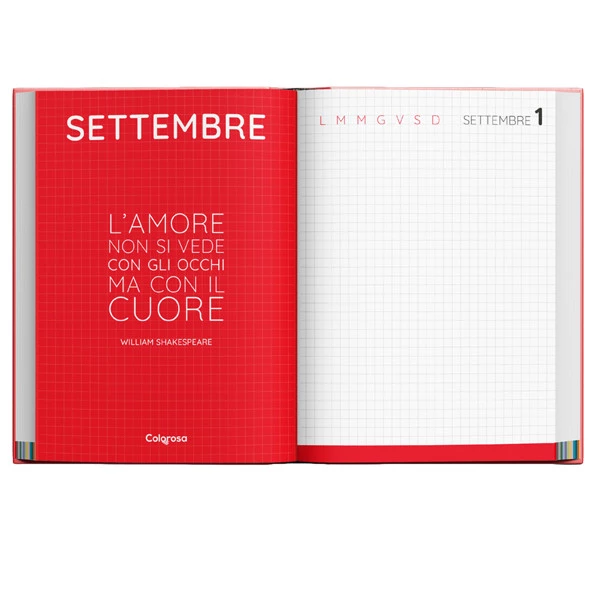 Diario - 12 mesi - copertina rigida antigraffio - colori assortiti - Colorosa