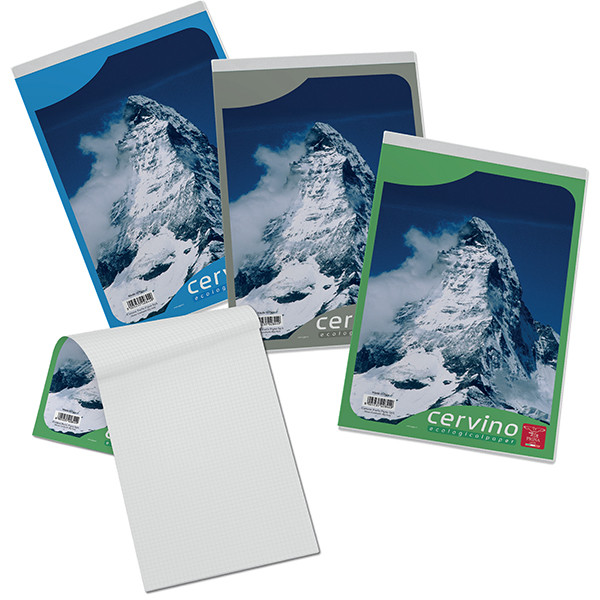 Blocco Cervino - A4 - 210 x 297mm - 50gr - 50 fogli - 5mm - Pigna