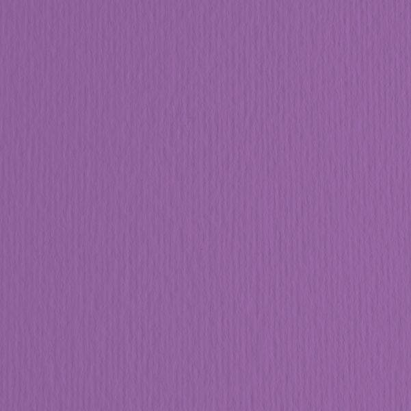 Cartoncino Elle Erre - 70x100cm - 220gr - viola 104 - Fabriano - blister 10 fogli