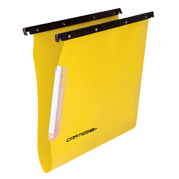 Cartella sospesa Cartesio PP - armadio - PPL - interasse 33 cm - fondo V - 32,6 x 28 cm - colori assortiti - Bertesi