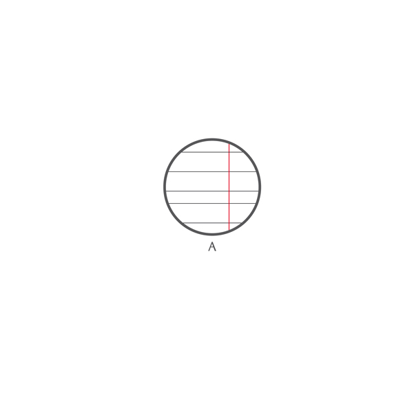 Maxiquaderno Color 80 - A4 - rigo di 1a - 80 fogli - 80 gr - copertina 250 gr - BM