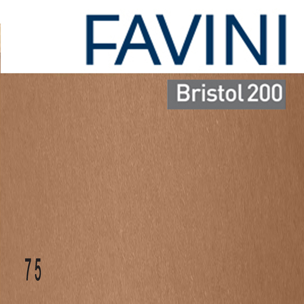 Cartoncino Bristol Color - 70 x 100 cm - 200 gr - marrone 75 - Favini - conf. 10 pezzi