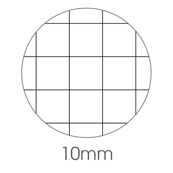 Maxiquaderno Be More Wild - A4 - 36+2 fogli - 100gr - 10mm - BM