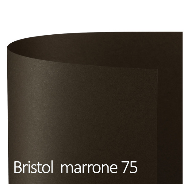 Cartoncino Bristol Color - 50 x 70 cm - 200 gr - marrone 75 - Favini - conf. 25 fogli