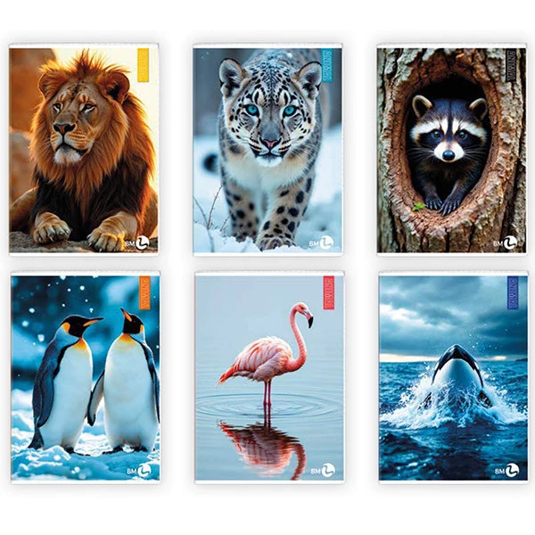 Maxiquaderno Animal fantasia - A4 - rigo di 1a - 40+2 fogli - 80gr - BM