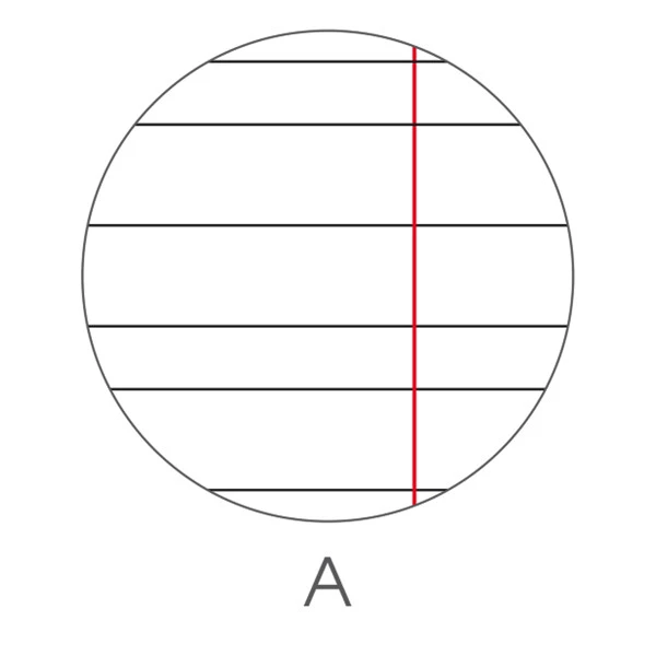 Maxiquaderno Animal fantasia - A4 - rigo di 1a - 40+2 fogli - 80gr - BM