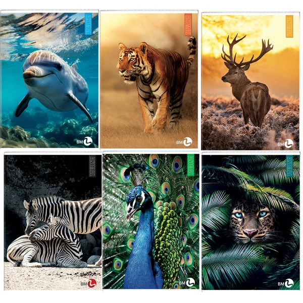 Maxiquaderno Animal fantasia - A4 - 4mm - 40+2 fogli - 80gr - BM