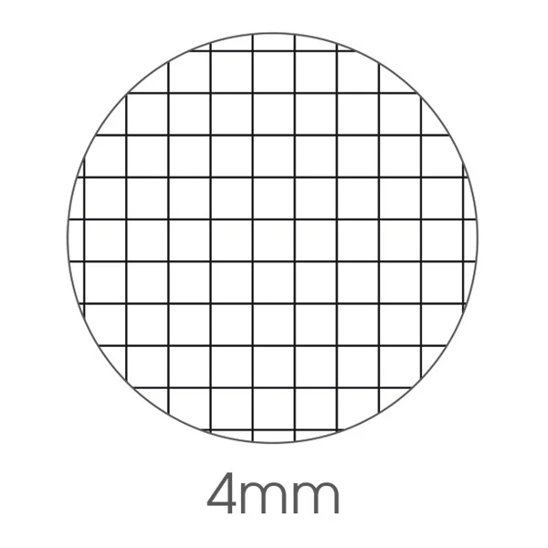 Maxiquaderno Animal fantasia - A4 - 4mm - 40+2 fogli - 80gr - BM