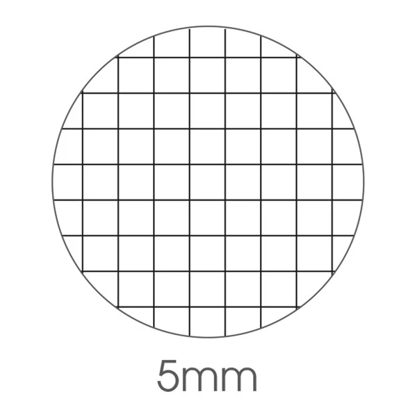 Maxiquaderno Travel fantasia - A4 - 5mm - 40+2 fogli - 80gr - BM