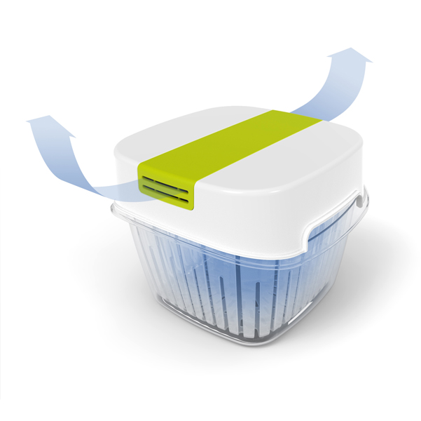 Contenitore per alimenti Dynamic Box Fresh - 1,6 L - Rotho