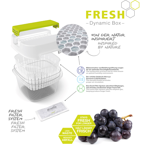 Contenitore per alimenti Dynamic Box Fresh - 1,6 L - Rotho