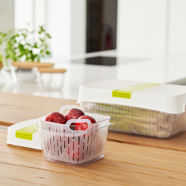 Contenitore per alimenti Dynamic Box Fresh - 1,6 L - Rotho