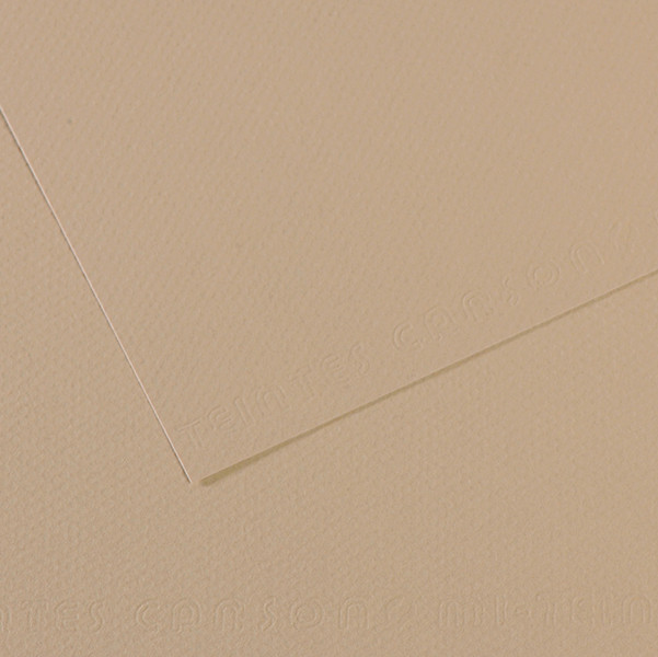 Foglio Mi-Teintes - A4 - 160 gr - grigio trianon - Canson