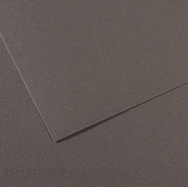 Foglio Mi-Teintes - A4 - 160 gr - grigio ardesia - Canson