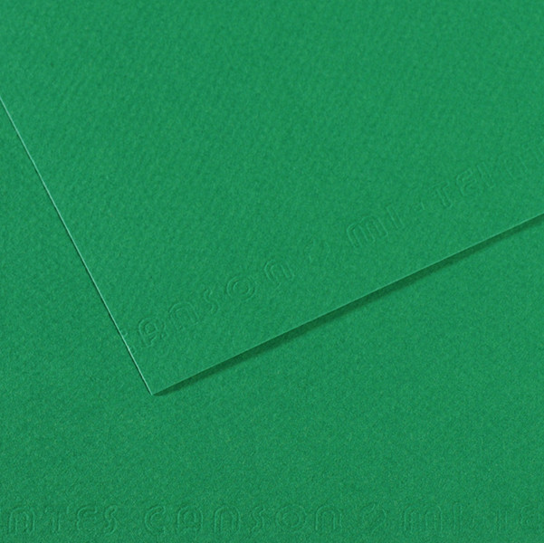 Foglio Mi-Teintes - A4 - 160 gr - verde biliardo - Canson