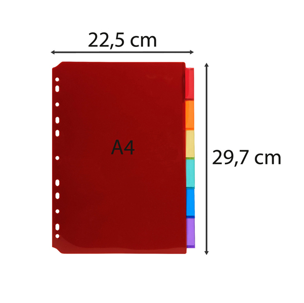 Intercalari neutri - PPL - A4 - trasparente - 6 posizioni - Exacompta
