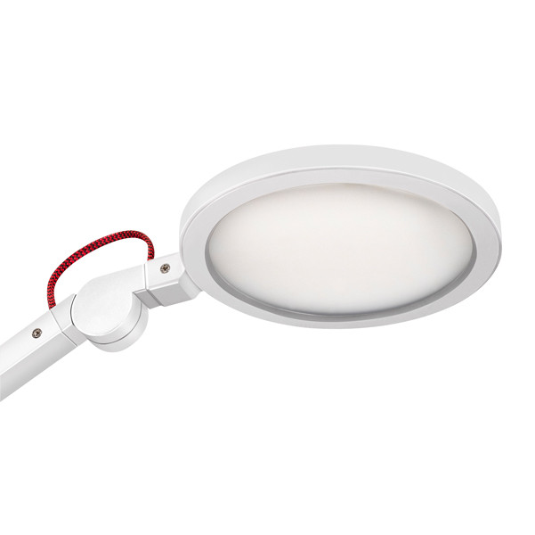 Lampada Giant - a led - con base in legno - bianco - Cep