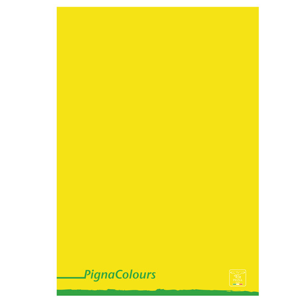Maxiquaderno Pigna Colours - A4 - 4 mm - 42 fogli - 80 gr - Pigna
