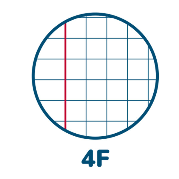 Maxiquaderno Cuccioli - A4 - 4 mm c/margine - 42 fogli - 80 gr - Pigna