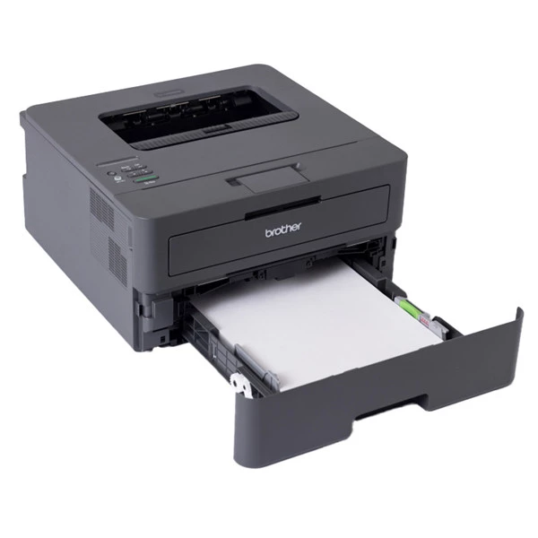 Brother - Stampante laser - monocromatica - HL-L2445DW