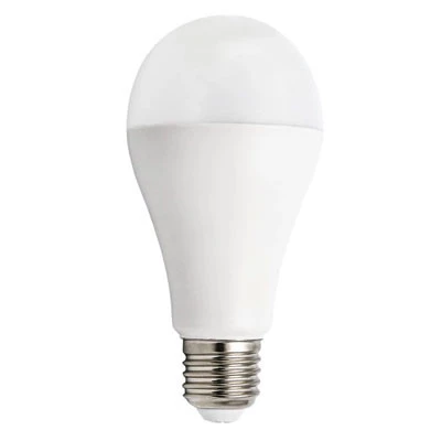 Prodotti per comunità - Materiale elettrico - Lampadine e torce